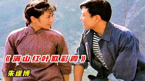 红叶电影在线观看